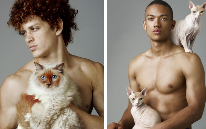 Фотограф показав, що чоловіки схожі на котів